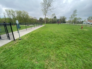 Linked image to Manchester Dog Park